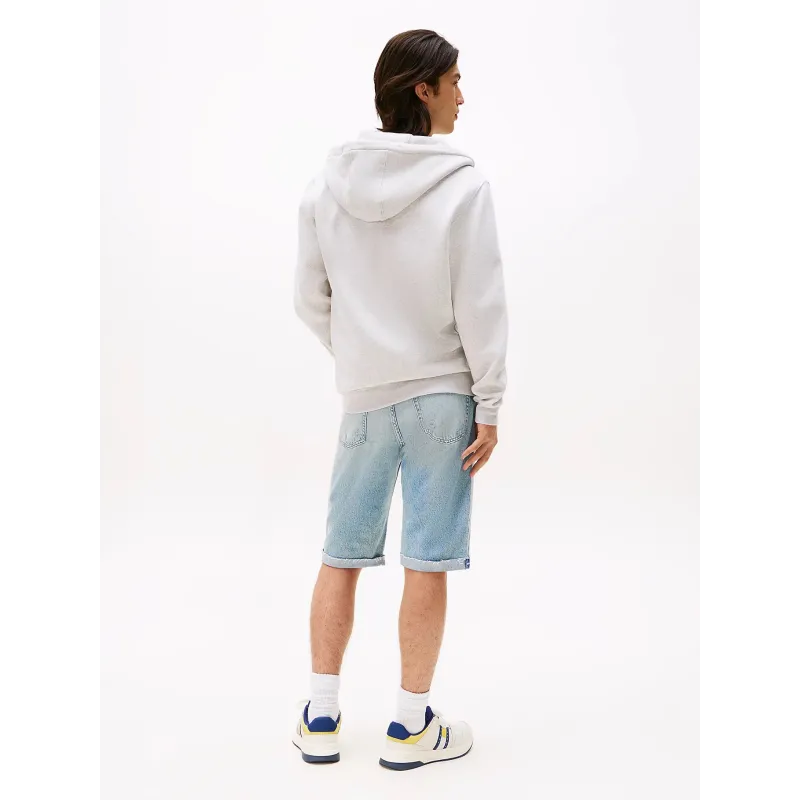 TH Sudadera de felpa con capucha y cremallera GRIS